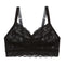 Never Say Never Curvy Sweetie Bralette - Salix Intimates