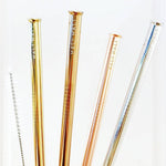 Reusable Metal Straw Set - 2 Straw Pack - Salix Intimates