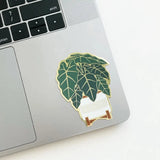 Alocasia Sticker